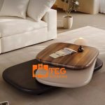 Modern Solid wood 2 in 1 Coffe Table