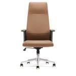 Ergonomic Executive Office chair