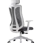 Ergonomic Mesh Office Chair with adjustable lumbar support, breathable mesh back, and ergonomic design for modern workspaces