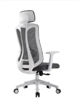 Ergonomic Mesh Office Chair with adjustable lumbar support, breathable mesh back, and ergonomic design for modern workspaces