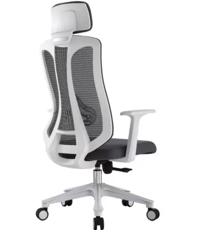 Ergonomic Mesh Office Chair with adjustable lumbar support, breathable mesh back, and ergonomic design for modern workspaces