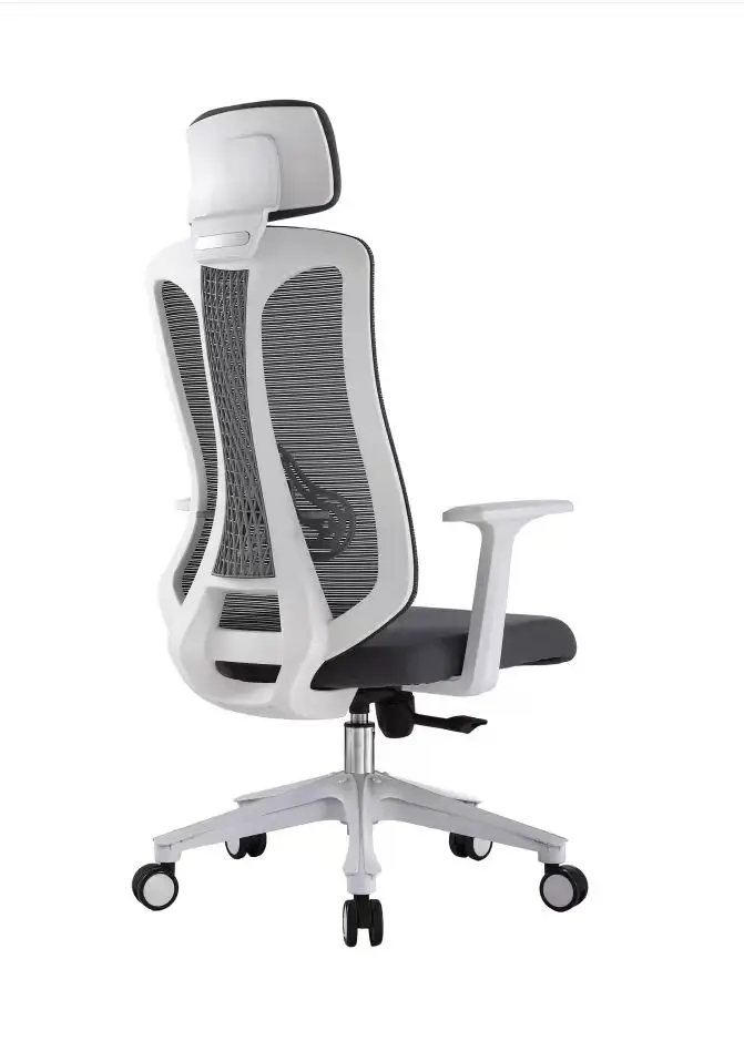 Ergonomic Mesh Chair with Lumbar Support (2) Ergonomic Mesh Office Chair with adjustable lumbar support, breathable mesh back, and ergonomic design for modern workspaces